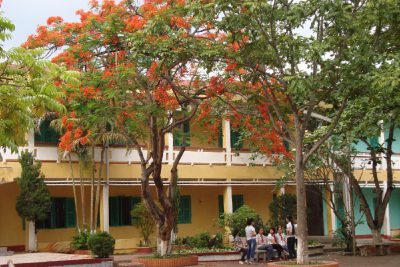 Ảnh đẹp